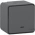 MUR35028 MUREVA S, КНОПОЧНЫЙ ВЫКЛЮЧАТЕЛЬ с подсветкой, открытой установ., АНТРАЦИТ, IP55  (MS)