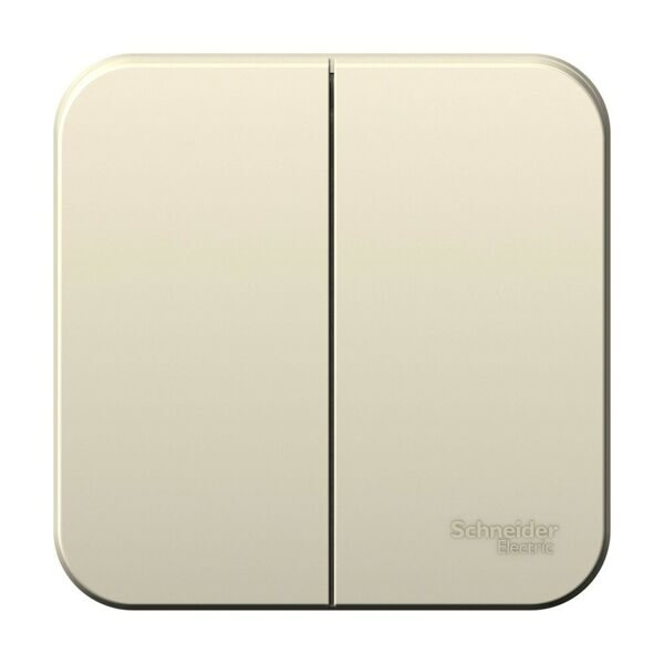 BLNVA065002 BLANCA О/У 2-клавишный ВЫКЛЮЧАТЕЛЬ (cх.5), 6А, 250В, МОЛОЧНЫЙ