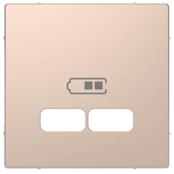 MTN4367-6051 D-Life, ЦЕНТРАЛЬНАЯ НАКЛАДКА для USB механизма 2,1А, ШАМПАНЬ