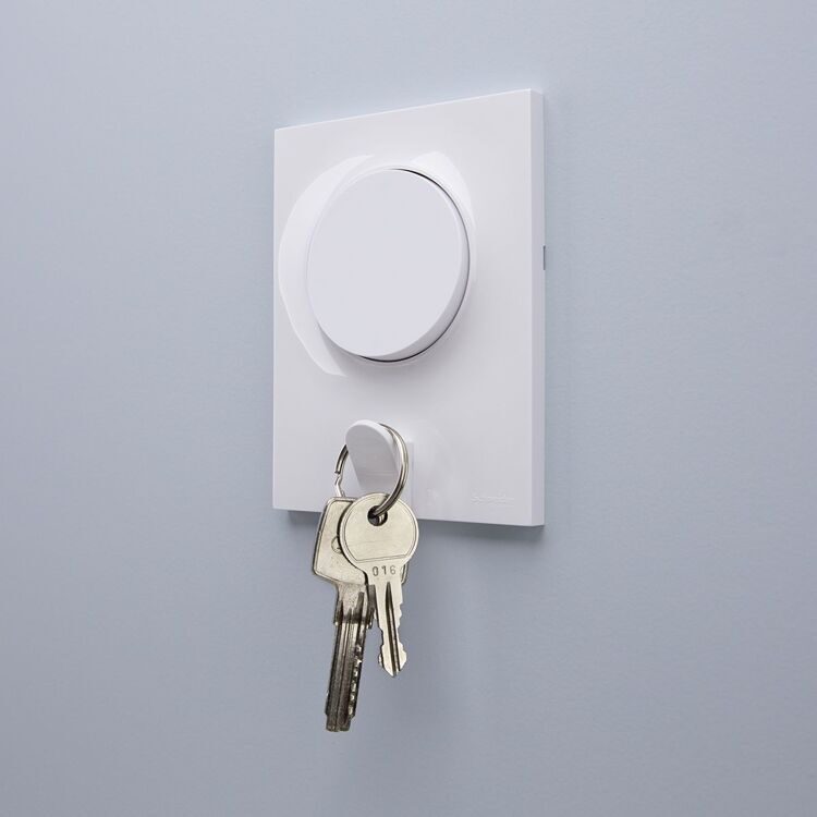 Рамка + держатель для ключей, Schneider Electric Odace, S52P722